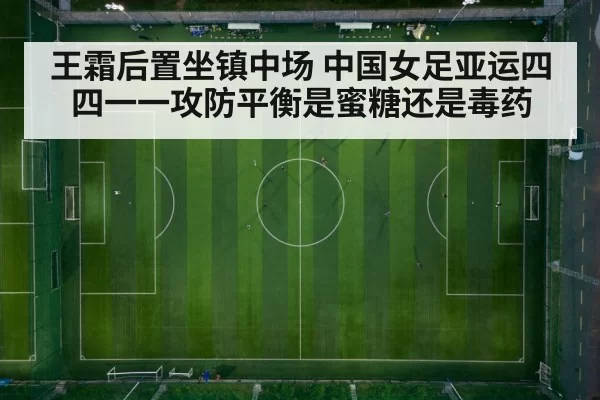 Wang Shuang midfield play